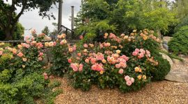 sejour06 175